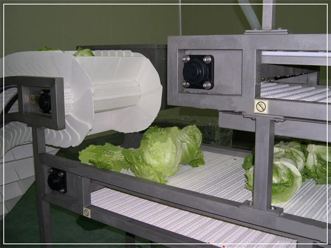 果蔬生产线 (1).jpg