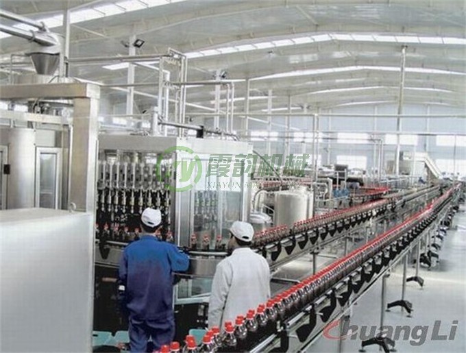 1塑料瓶装产品 输送流水线 (4)